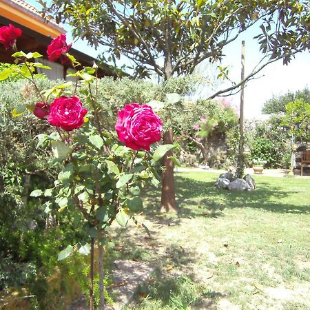 Hosteria Las Fuentes Rubayo Dış mekan fotoğraf